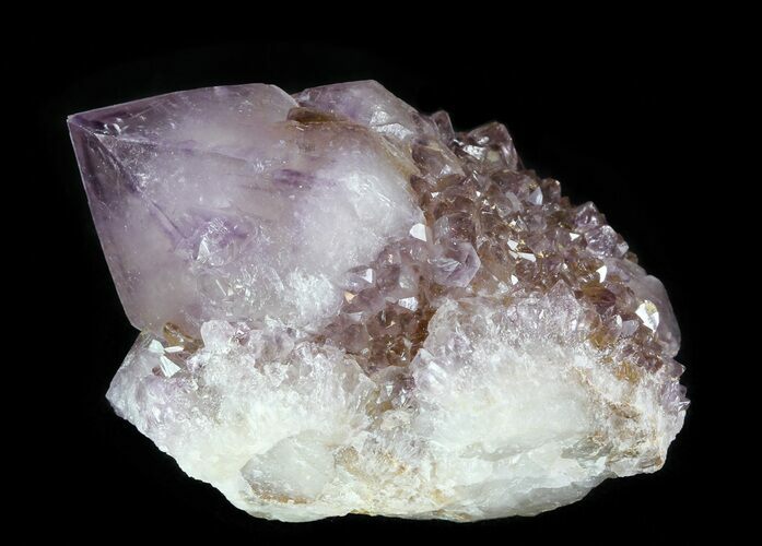 Cactus Quartz (Amethyst) Crystal Cluster - South Africa #64251